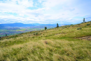 0 McLaughlin Canyon Rd unit 23949703, Tonasket, WA 98855 - photo 3