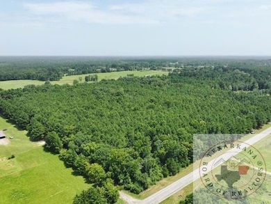 Tbd Fm 2149, Maud, TX 75567 - photo 2