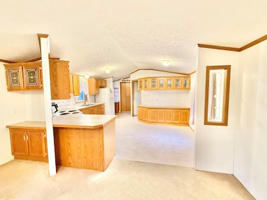 2701 E Main St unit 98, Reedsburg, WI 53959 - photo 4