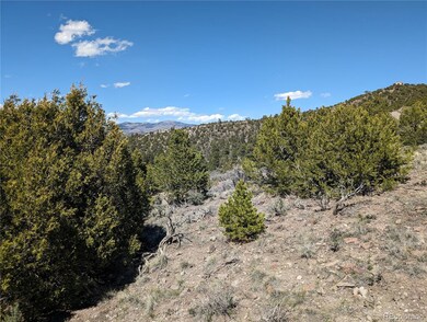 Lot 4425 Clausen Rd, Fort Garland, CO 81113 - photo 6