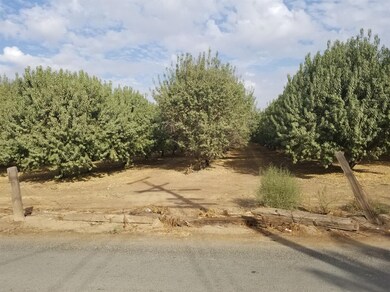 14473 193, Poplar, CA 93257 - photo 6