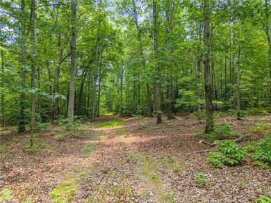 0 Mount Lebanon Rd unit 1113657, Troy, NC 27371 - photo 4