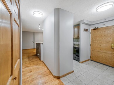 Huntington Grove Condominiums unit AE2, Hoffman Estates, IL 60169 - photo 6