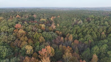 0 Dennis Creek Rd unit 22338064, Talbotton, GA 31827 - photo 7