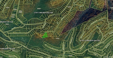 Lot 25 Mercury Ln, Holiday Island, AR 72631 - photo 2