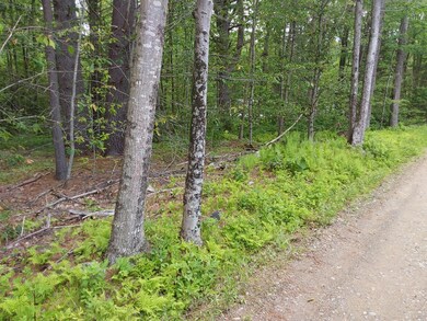 M19-L16-1 Augusta Rd, Jefferson, ME 04348 - photo 6