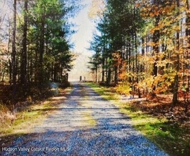 1311 Wittenberg Rd, Mount Tremper, NY 12457 - photo 7