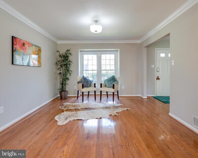 4336 Cub Run Rd, Chantilly, VA 20151 - photo 4