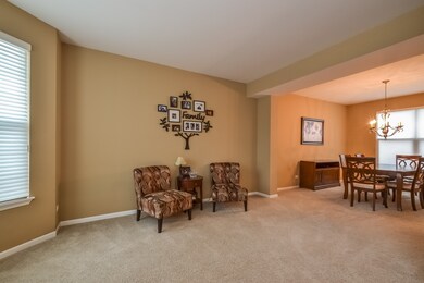 1607 Hoover Trail, McHenry, IL 60051 - photo 5