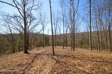 2011 W Hwy 524 unit TRACT 2, La Grange, KY 40031 - photo 2