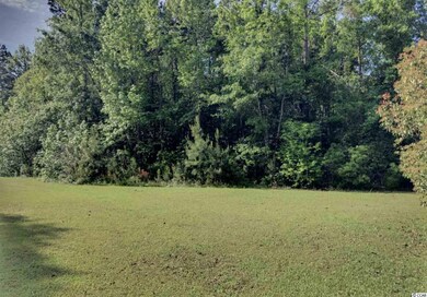 TBD Jungle Rd, Conway, SC 29526 - photo 3