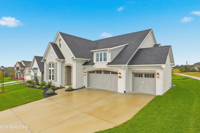 923 Sweatleaf Ln, Concord, TN 37934 - photo 4