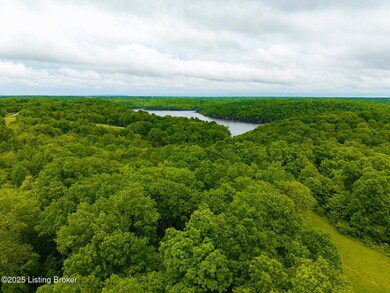 384 Lakeview Dr, Bloomfield, KY 40008 - photo 5