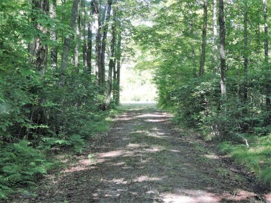 N8450 New Wood Rd, Tomahawk, WI 54487 - photo 4