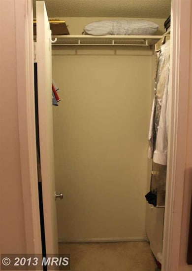 203 Yoakum Pkwy unit 520, Alexandria, VA 22304 - photo 5