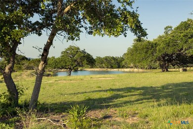 938 Lindeman Ln, Blanco, TX 78606 - photo 4