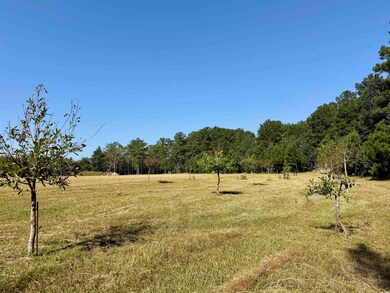 28+/- Acres-TBD Frank Cribb Rd, Georgetown, SC 29440 - photo 5