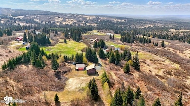 34540 Alamar Rd, Anchor Point, AK 99556 - photo 4