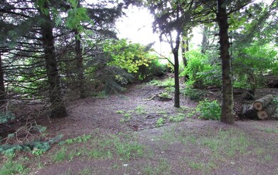 374 High Point Rd, Lehighton, PA 18235 - photo 3