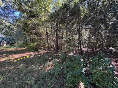 000 Half St, Summerville, SC 29483 - photo 3