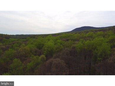 166 Sousley Rd, Lenhartsville, PA 19534 - photo 4