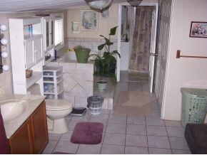 113 E 3rd Ave, Watauga, TN 37694 - photo 6