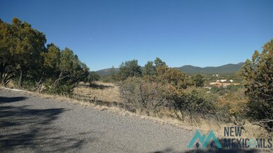 Lot 316 Eddie Ward, Silver City, NM 88061 - photo 5