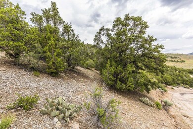4580_Dixie Deer Estates Lot 8 - EMurphy-