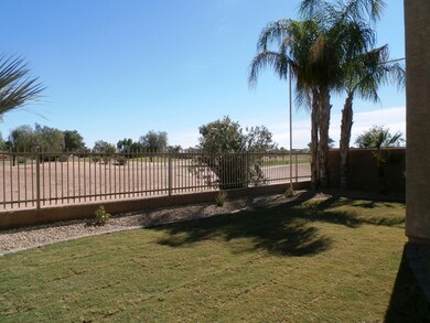 Backyard 2