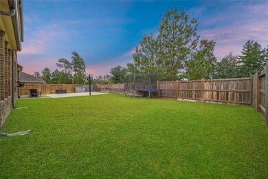 31956 Nobel Grove Ln, Conroe, TX 77385 - photo 4