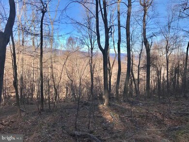 0 Roy Hyre Hollow Rd unit WVGT2000174, Petersburg, WV 26847 - photo 5