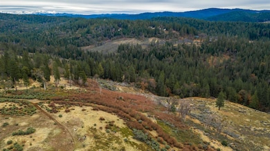 0 Pine Tree Ln unit 225032933, Pollock Pines, CA 95726 - photo 2