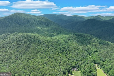 2001 Chimney Mtn Flats Trail, Clarkesville, GA 30523 - photo 4