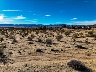 123 La Crescenta Dr, Joshua Tree, CA 92252 - photo 5