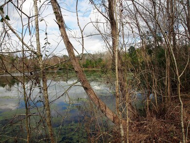 pond 6