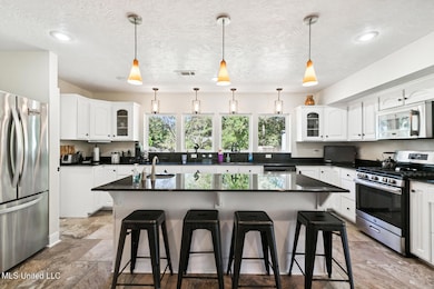 203 John Henry Lake Rd, Poplarville, MS 39470 - photo 5