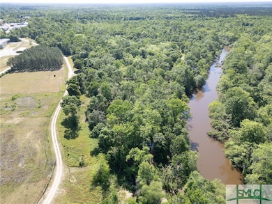 Lot 21 the River Landing Rd, Midville, GA 30441 - photo 5