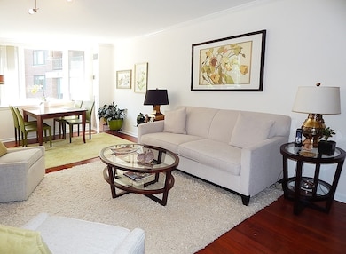 River Court unit 203, Cambridge, MA 02142 - photo 2