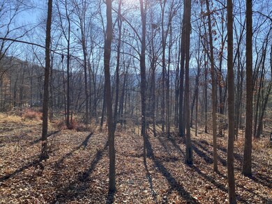 Lots 24,25 Blossom Rd, Lackawaxen Township, PA 18435 - photo 6