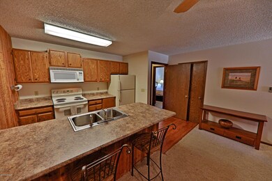 Kitchen view 2
