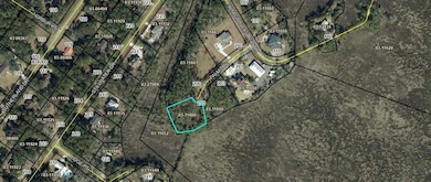 205 Palm Trace, Brunswick, GA 31525 - photo 2