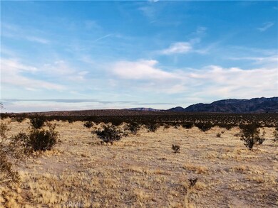 5000 Pearl Springs Ave, Twentynine Palms, CA 92277 - photo 4