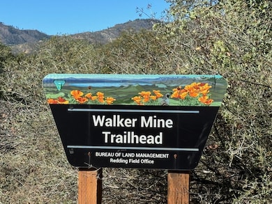 12694 Walker Mine Rd, Redding, CA 96003 - photo 7