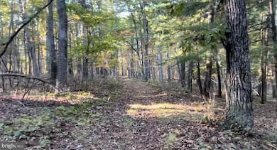 0 N Frederick Pike unit VAFV2038096, Winchester, VA 22603 - photo 5