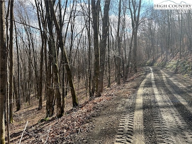 7 Woodfern Way, Todd, NC 28684 - photo 6