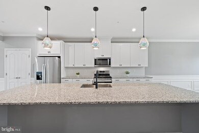 4615 -B Crossing Ct, Ellicott City, MD 21043 - photo 6