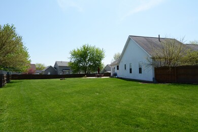 Massive, fully fenced-in backyard.