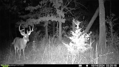 Tract 2 SE 179th, Wilburton, OK 74578 - photo 2