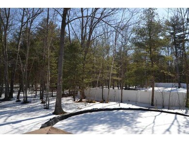 Back Yard.