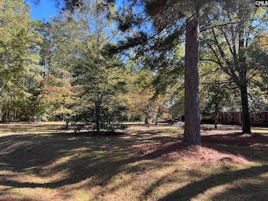 123 Hollow Ln, Leesville, SC 29070 - photo 3